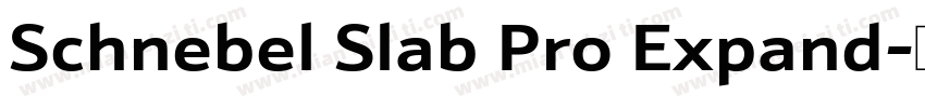 Schnebel Slab Pro Expand字体转换